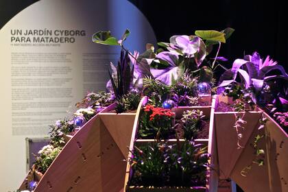 El Jardín Cyborg de Matadero Madrid