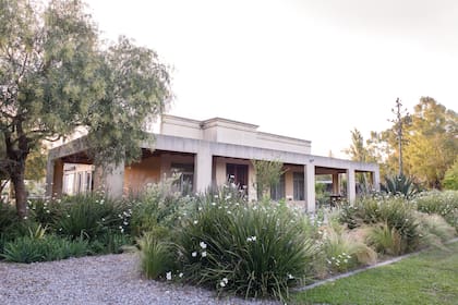 El jardín de bienvenida recorre toda la fachada de la casa y contiene un patio de grava. Con una base perenne de dietes, stipas, agapantos blancos y Salvia pallida ‘Alba’, se buscó que fuera esencialmente blanco.