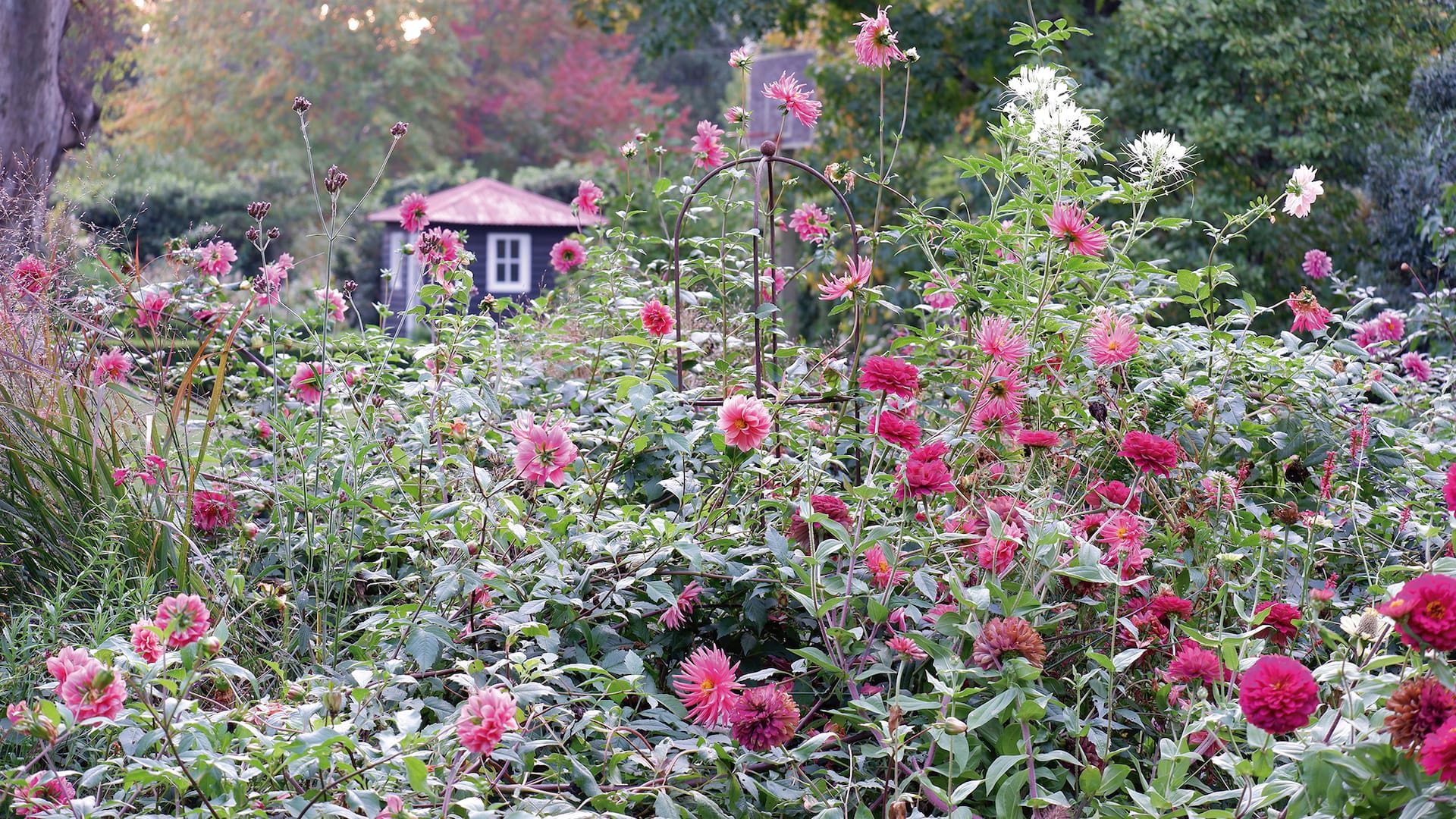 El jardín de Clara Billoch, lleno de tesoros para disfrutar (y cortar)