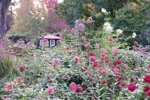 El jardín de Clara Billoch, lleno de tesoros para disfrutar (y cortar)