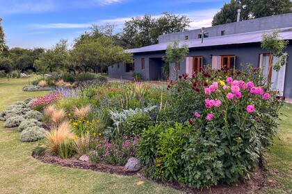 El jardín de flores delante de la casa, donde crecen gramíneas, herbáceas perennes y santolinas