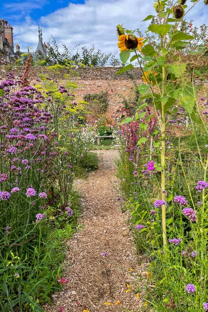El jardín de flores y la huerta se fusionan en una experiencia para los sentidos.
