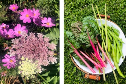 El jardín de Gabriela Creciente está al servicio de sus platos, pero también de sus floreros. La naturaleza siempre la transforma.