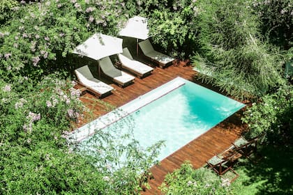 El jardín de Home Hotel también incluye una pileta.