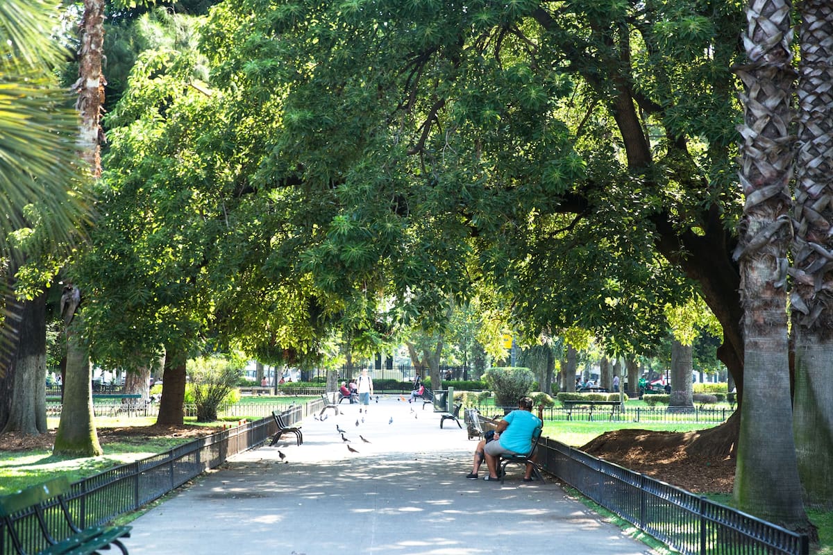 "El jardín de la ciudad": el barrio tiene gran cantidad y variedad de árboles que lo convierten en uno de sus rasgos más característicos
