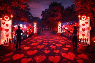 Maravillosa Alicia llega al Jardín Botánico con una experiencia inmersiva