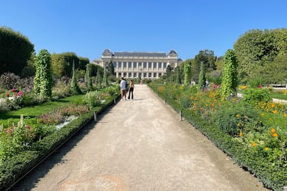 El Jardín de las Plantas en París es el más importante de Francia