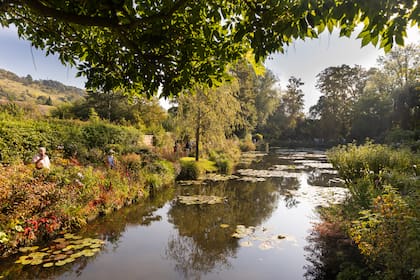 El jardín de los nenúfares también tiene su encanto en otoño.