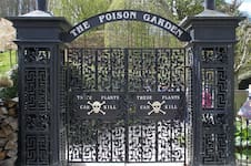 Así es el jardín más venenoso del mundo con plantas que no se pueden tocar ni oler
