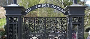 Así es el jardín más venenoso del mundo con plantas que no se pueden tocar ni oler