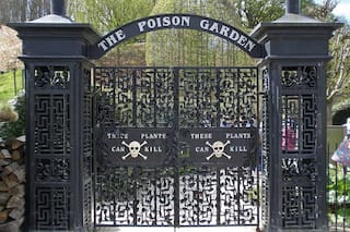 Así es el jardín más venenoso del mundo con plantas que no se pueden tocar ni oler