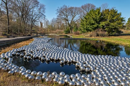 El Jardín de Narcisos, presentado por Kusama en la Bienal de Venecia de 1966, fue recreado en 2021 en el Jardín Botánico de Nueva York