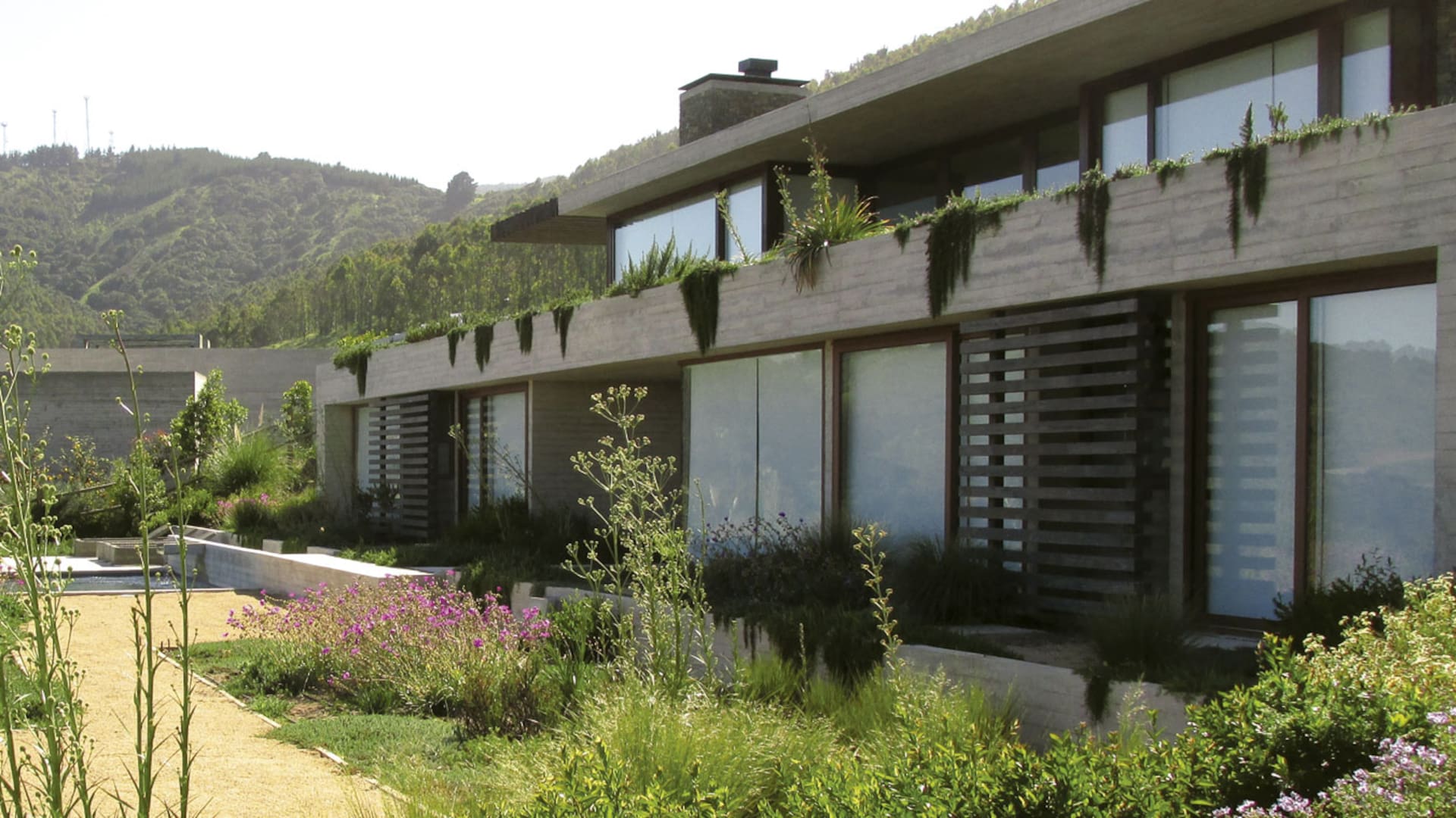 El jardín de una casa moderna con vista al mar. En primer plano, Eryngium paniculatum se destacan en los canteros donde también se asocian Stipa caudata, Cistanthe, Solanum maritimum.