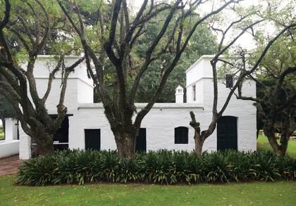 El jardín del Museo Pueyrredón, ubicado en Acassuso, San Isidro, alberga especies de árboles centenarios que fueron testigos de la historia argentina.