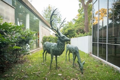 El jardín del Sívori, con obra incluida