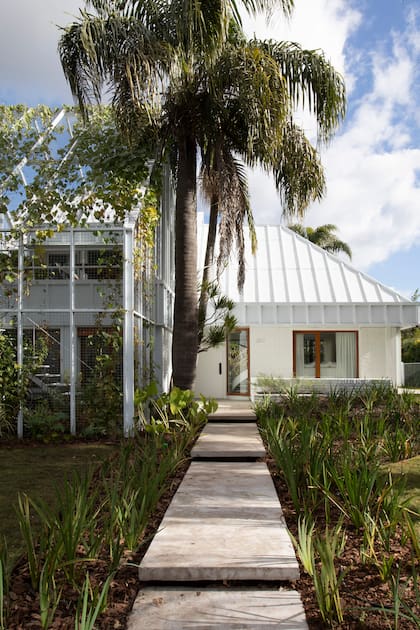 El jardín delantero combina añosas palmeras con el paisajismo de Ana Pessio, que para este sector eligió lirios.