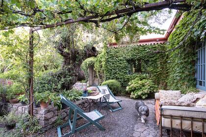 El jardín estaba bastante abandonado, pero tenía una sugestiva base de árboles grandes y arbustos