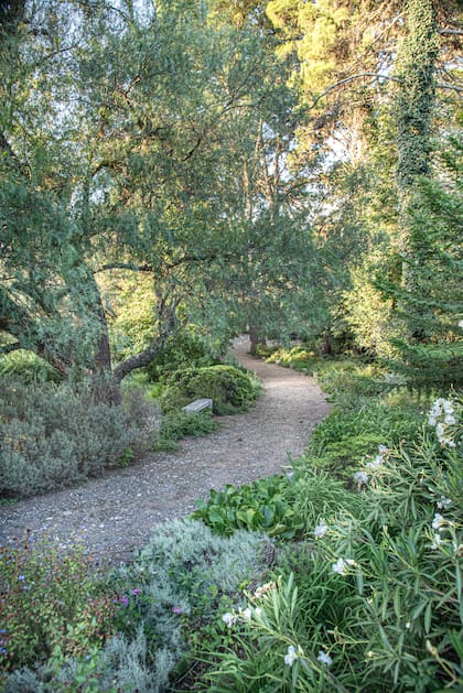 El jardín fue tomando forma con especies resistentes al clima y de bajo mantenimiento. “Que no se note la mano del hombre sino la de la naturaleza”, como cuenta la paisajista Susy Withrington.