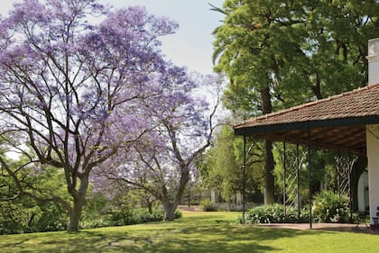 El jardín que rodea la casa alberga unas 70 especies de aves, mariposas, comadrejas y un algarrobo blanco de aproximadamente 300 años de antigüedad, y es un Parque Natural Municipal protegido desde 2009.