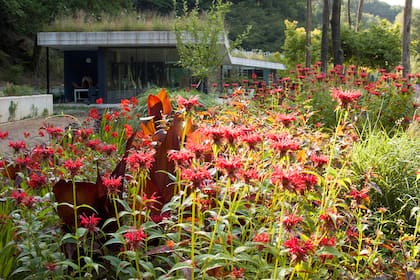 El Jardín Rojo reúne follajes y floraciones de esa tonalidad, en primer plano, monardas