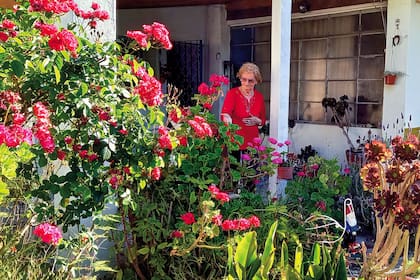 El jardín soñado de Nilda.