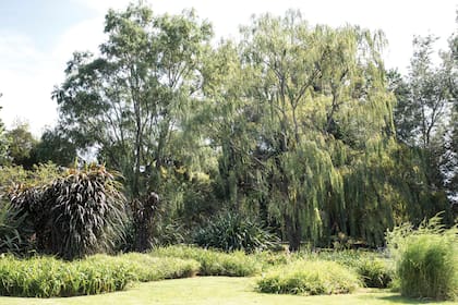 El jardín tiene orientación norte. Gracias al reparo de los árboles, las masas de hemerocalis y gramíneas crecieron rápidamente.