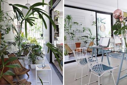 Trabajé esa pared de manera escultórica, con una malla que sostiene plantas colgantes, mientras que en el piso coloqué especies más selváticas y ‘desprolijas’".