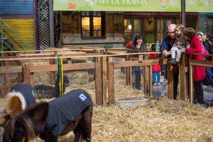 El jefe de Gobierno porteño pasó por la muestra con su familia