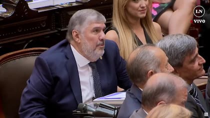 El jefe de la bancada peronista del Senado, José Mayans