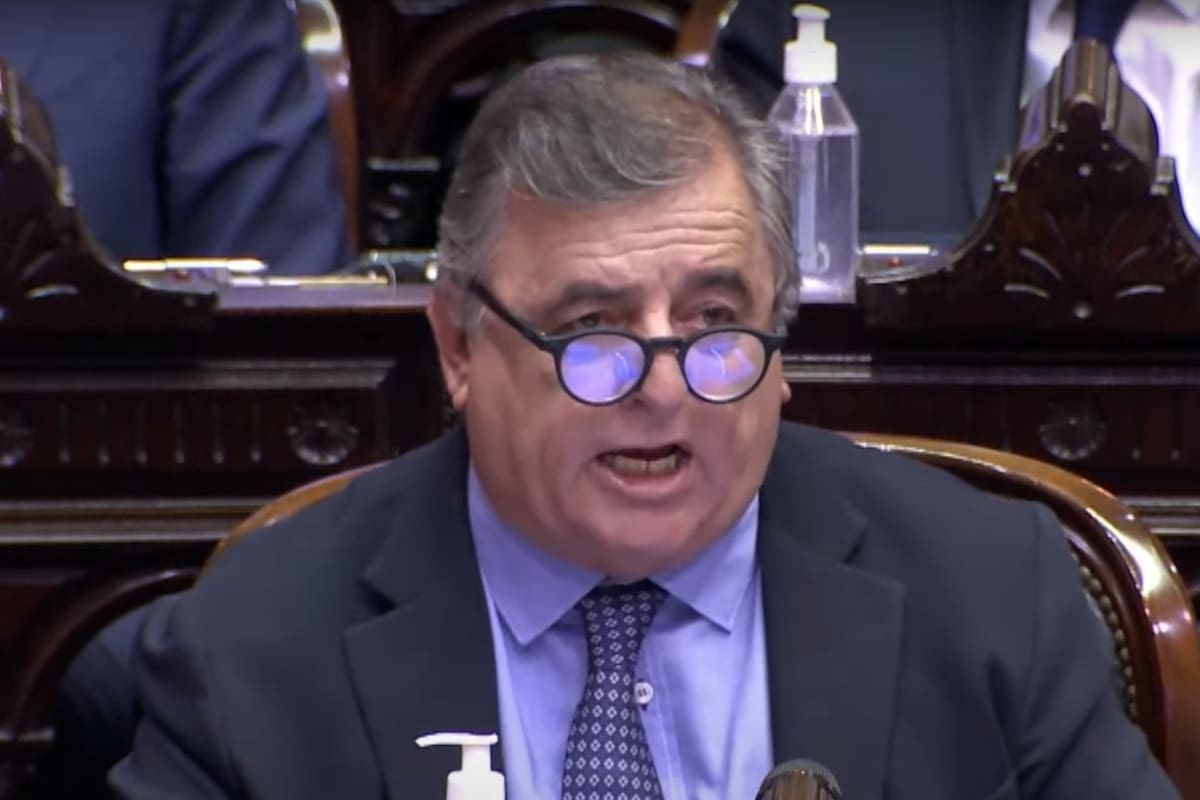 El jefe del bloque de la Unión Cívica Radical, Mario Negri.
