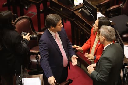 El jefe del bloque de Pro en el Senado, Martín Goerling, presiona para interpelar a Adorni