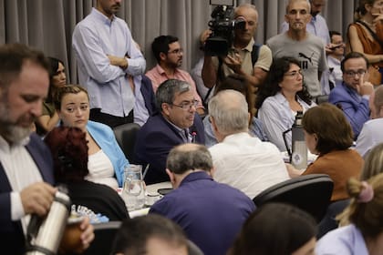 El jefe del bloque de Unión por la Patria (UxP) en Diputados, Germán Martínez, durante el plenario de comisiones