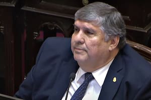 El jefe del bloque del Frente de Todos en el Senado, José Mayans