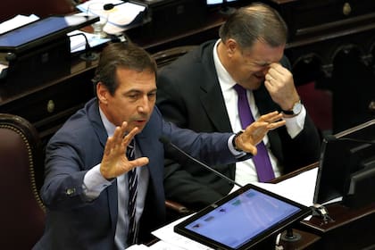 El jefe del bloque oficialista, Luis Naidenoff