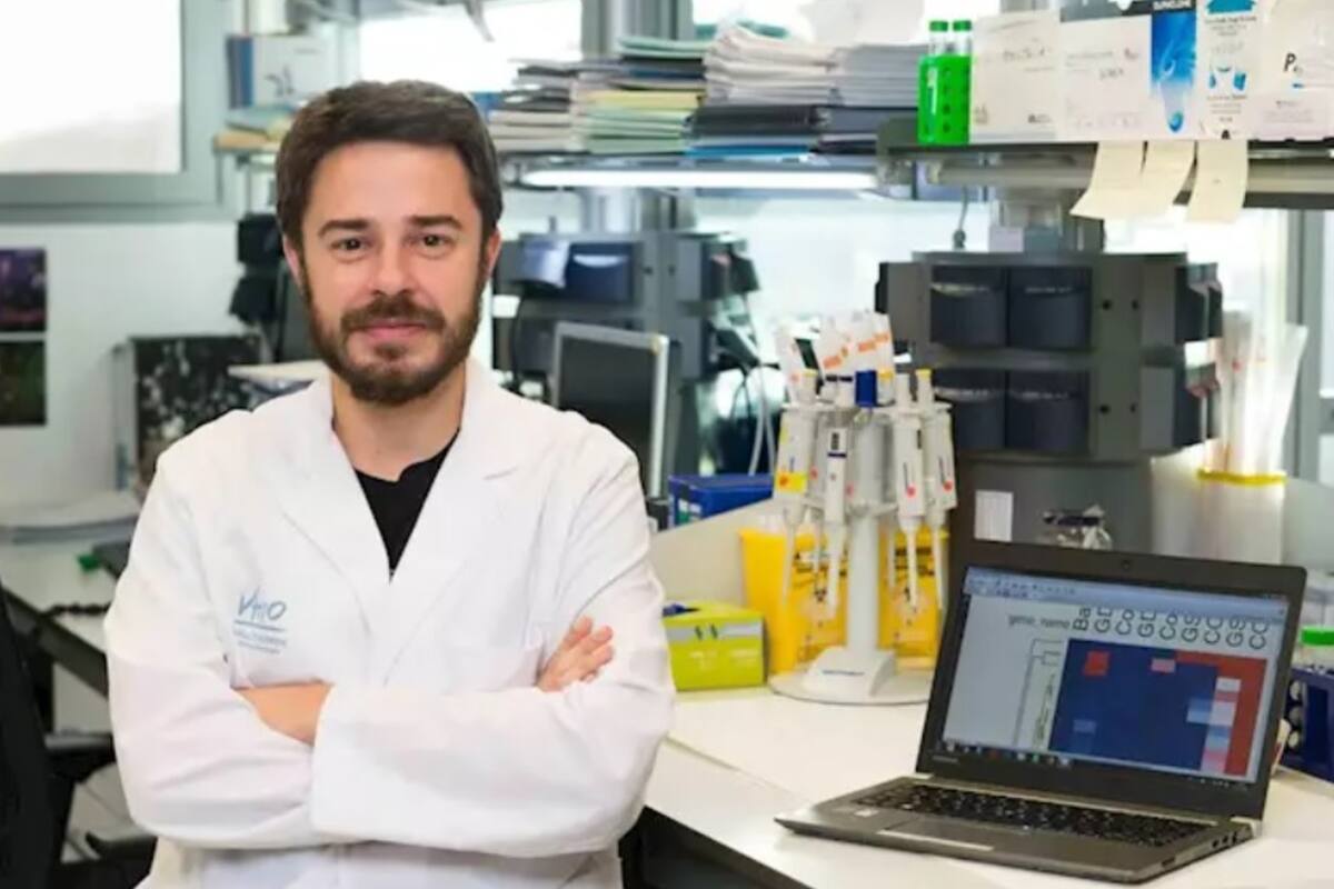 El jefe del grupo de investigación traslacional en sarcomas del Vhio, César Serrano