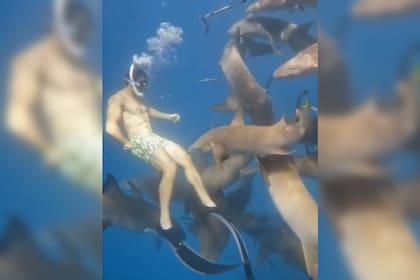 El joven capturó el momento en el que lo muerde un tiburón (Captura video)