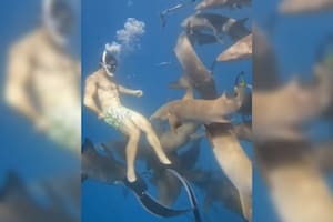 El joven capturó el momento en el que lo muerde un tiburón (Captura video)