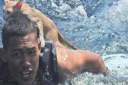 El joven marinero rescató a los felinos que se encontraban en el barco que se hundió. Fuente: Reuters