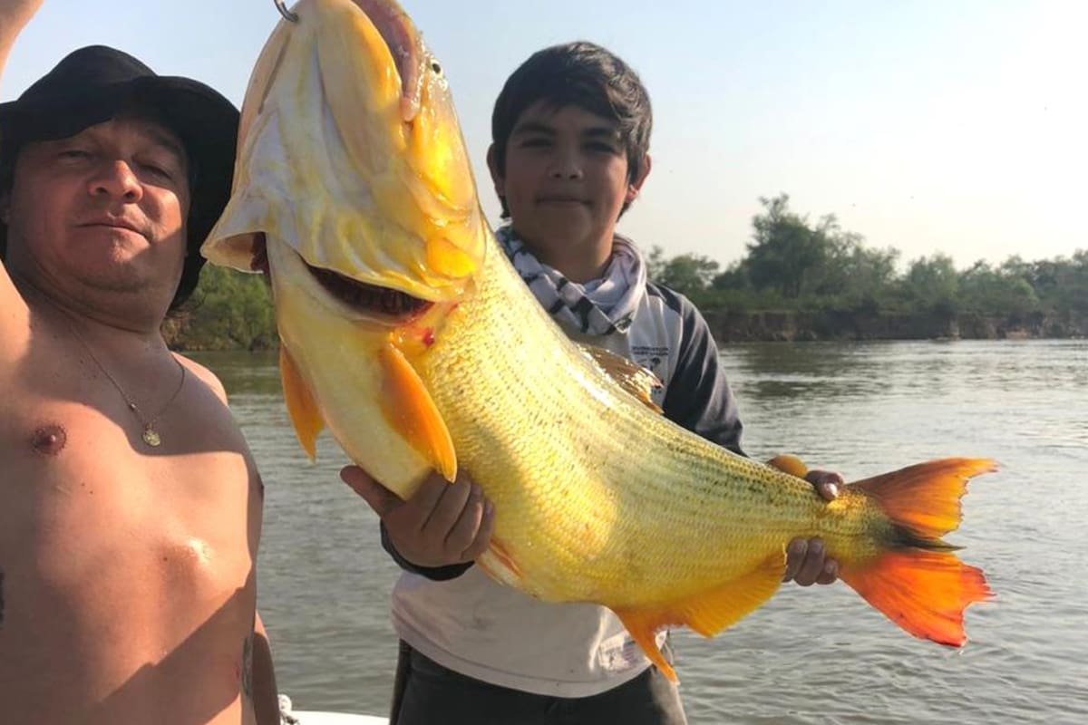 El joven pescador de 12 años hizo tomar conciencia a su padre y devolvió el gigantesco dorado a las aguas del Paraná (Actualidad Esquina)