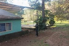 Un adolescente de 13 años murió electrocutado en una escuela