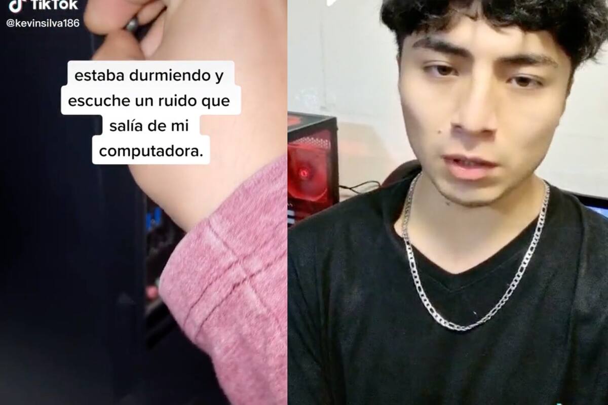 El joven se encontró con un animal impensable al abrir la tapa de su computadora