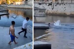 El joven se tiró a nadar en un estanque y el cisne se avalanzó para atacarlo