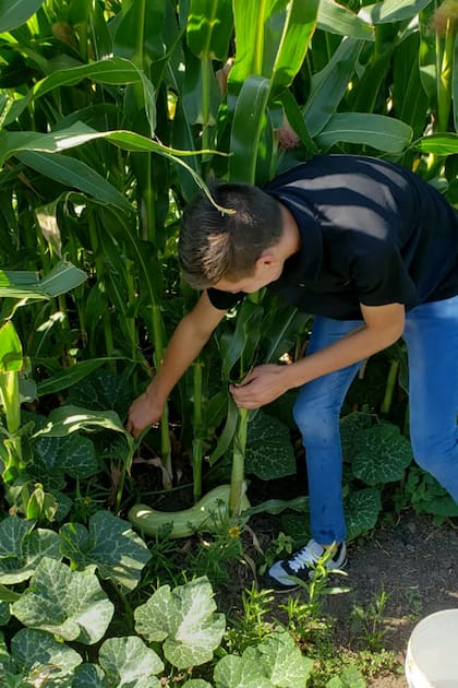 El joven todas las tardes se encarga de los cultivos en su huerta