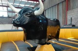 Murió una niña de 7 años al caerse de un “toro mecánico” en una fiesta de cumpleaños