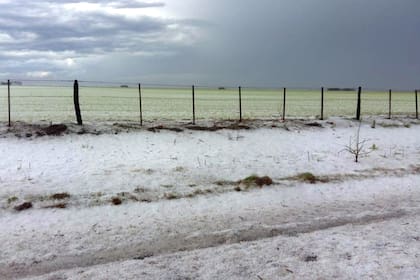 El jueves 18 cayó una feroz granizada en General Villegas, en Pergamino y Diego de Alvear, provincia de Santa Fe
