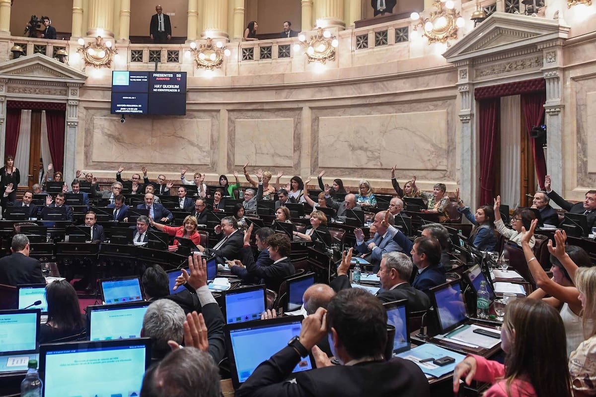 El jueves se sancionó la ley en el Senado, con 41 votos a favor y 21 en contra