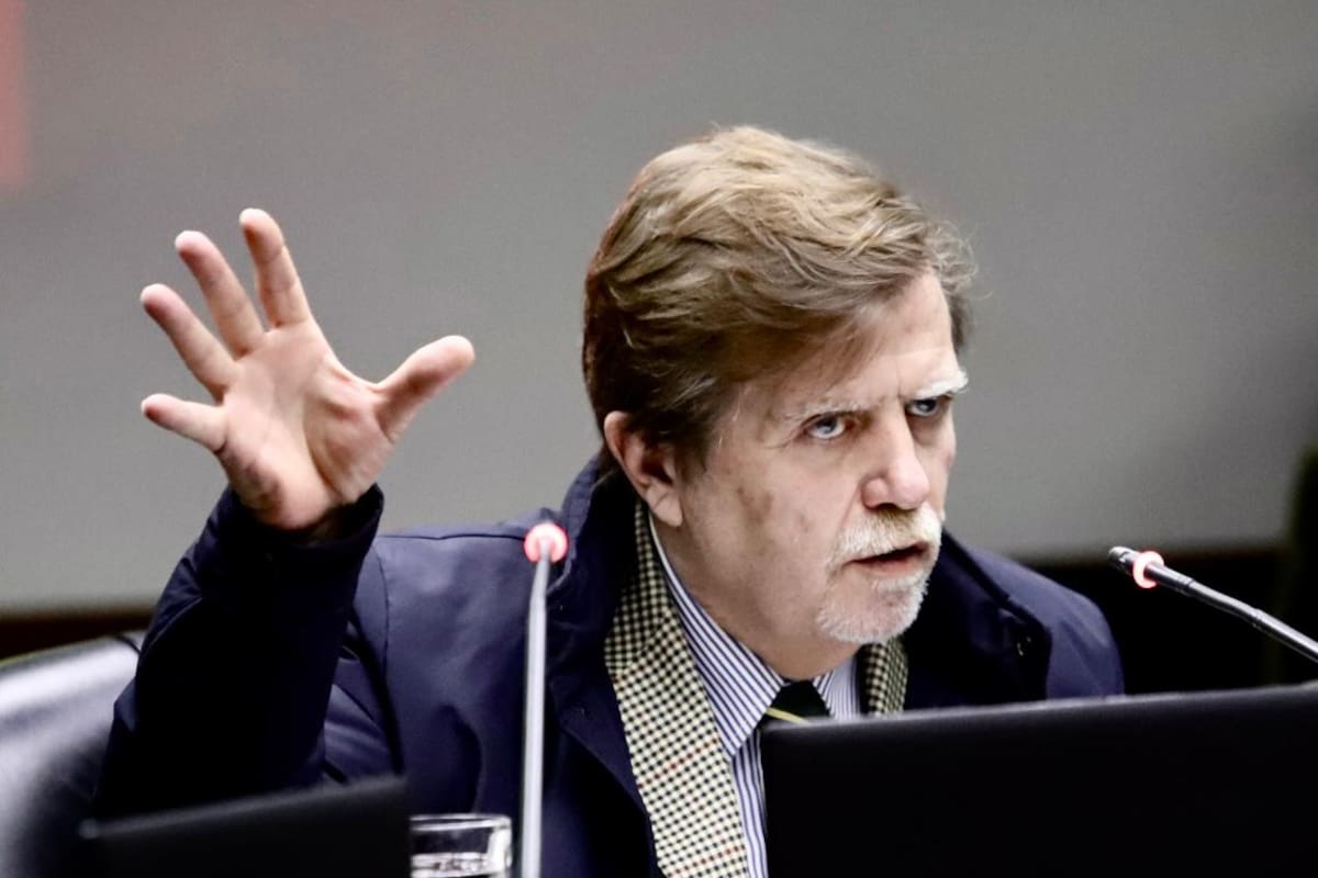 El juez civil Carlos Goggi