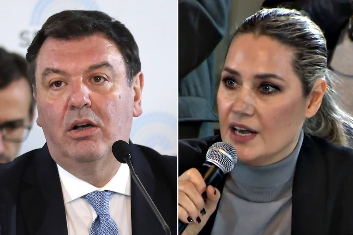 El juez federal y aspirante a la Corte Suprema de Justicia, Ariel Lijo, y la senadora nacional por la Unión Cívica Radical (UCR), Carolina Losada