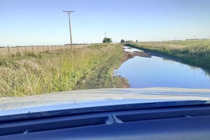 Ordenan a un municipio devolver plata a los productores por el cobro de una tasa