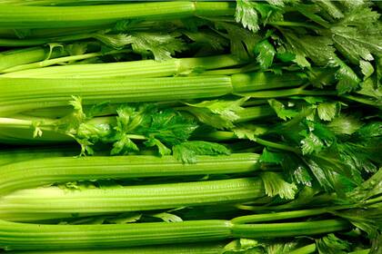 El jugo de apio ofrece beneficios para el organismo (Foto Pexels)